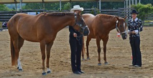 show-amater.jpg